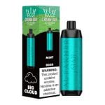 Al Fakher Crown Bar 8000 Puffs Dtl Disposable Mint in UAE