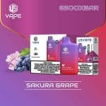 US Vape XBAR 6500 Puffs Disposable Sakura Grape in UAE