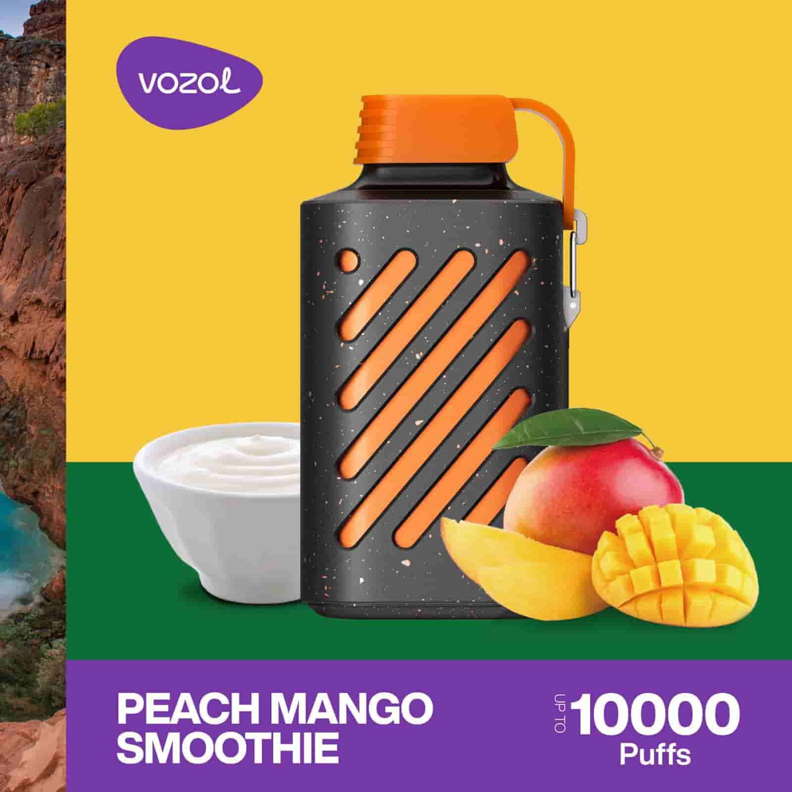 Vozol Gear 10000 Disposable Vape Peach Mango Smoothie UAE Vozol Gear 10000 Disposable Vape Peach Mango Smoothie UAE