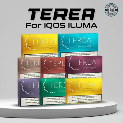 IQOS TEREA Uzbekistan in UAE