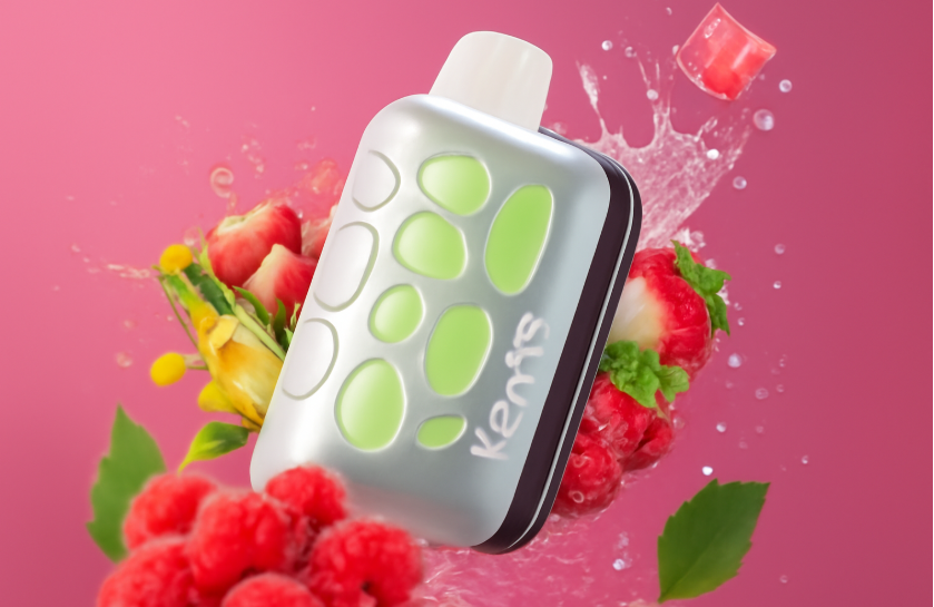 VOZOL RAVE 40000 Puffs Disposable VOZOL RAVE 40000 Puffs Disposable