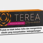 Heets Terea Dimensions Apricity Indonesian Version In UAE
