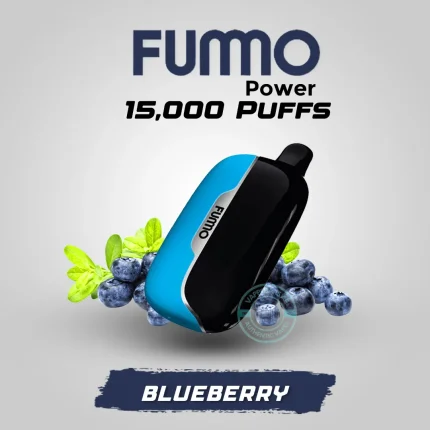 Fummo Power 15000 Puffs Blueberry Disposable Vape in Dubai