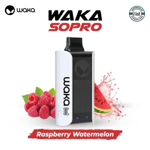 Waka SoPro 10000 Puffs Raspberry Watermelon Disposable Vape In Dubai