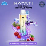 HAYATI Pro Max 4000 Puffs Blueberry Cherry Cranberry Disposable Vape in Dubai