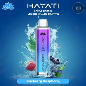 HAYATI Pro Max 4000 Puffs Blueberry Raspberry Disposable Vape in Dubai