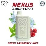 POD SALT NEXUS Fresh Raspberry Mint 6000 Puffs in Dubai UAE