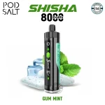 Pod Salt Shisha 8000 Puffs Gum Mint in Dubai UAE