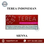 TEREA INDONESIAN ALL FLAVORS DUBAI, UAE Sienna